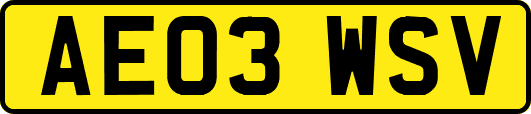 AE03WSV