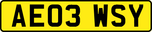 AE03WSY