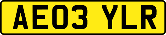 AE03YLR