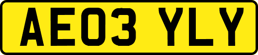 AE03YLY