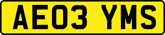 AE03YMS