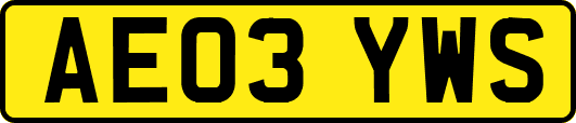 AE03YWS