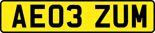 AE03ZUM