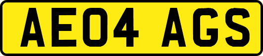 AE04AGS
