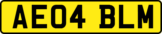 AE04BLM