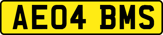 AE04BMS