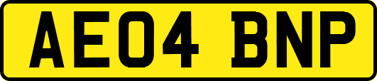 AE04BNP