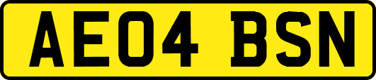 AE04BSN