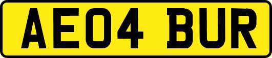 AE04BUR