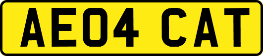 AE04CAT