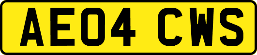 AE04CWS