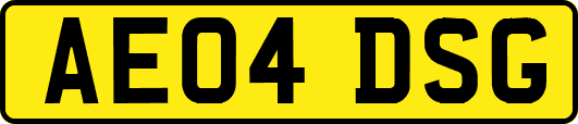 AE04DSG