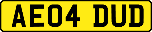AE04DUD
