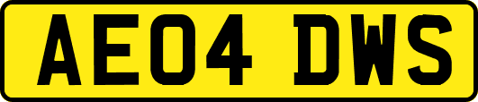 AE04DWS