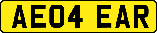 AE04EAR