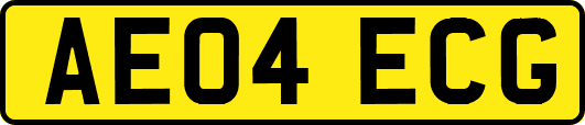 AE04ECG