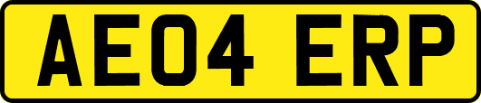 AE04ERP