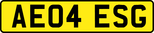 AE04ESG