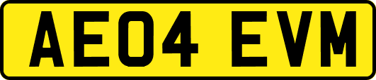 AE04EVM