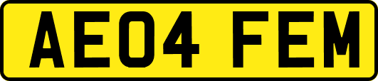 AE04FEM