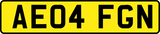 AE04FGN