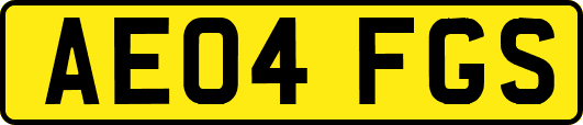 AE04FGS