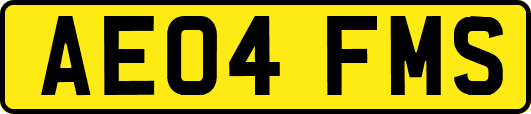 AE04FMS