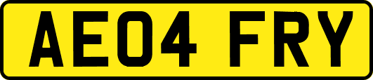 AE04FRY