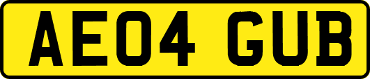 AE04GUB