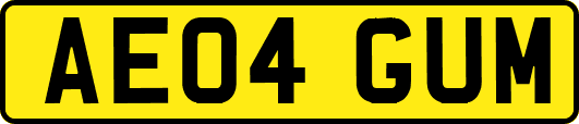 AE04GUM