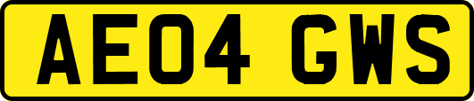 AE04GWS
