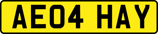 AE04HAY