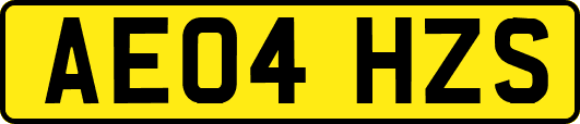 AE04HZS