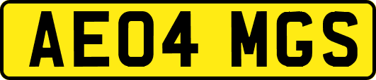 AE04MGS