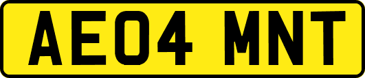 AE04MNT