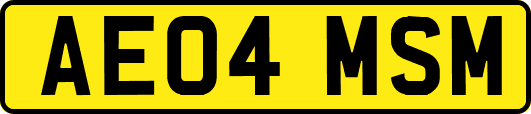 AE04MSM