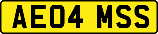 AE04MSS