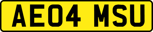 AE04MSU