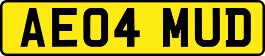 AE04MUD