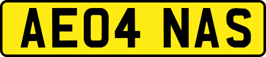 AE04NAS