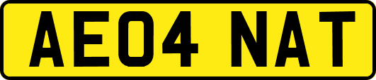 AE04NAT