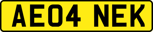 AE04NEK
