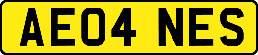 AE04NES