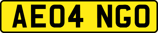 AE04NGO