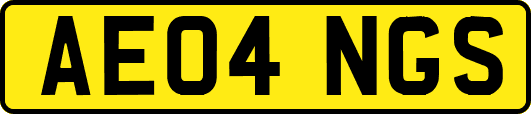 AE04NGS