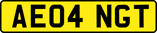 AE04NGT
