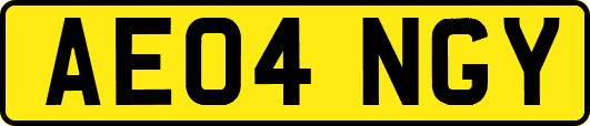 AE04NGY