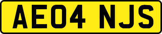 AE04NJS