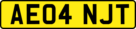AE04NJT