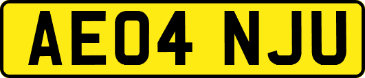 AE04NJU